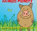 Animal Memory