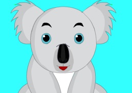 Baby Koala Accident Care