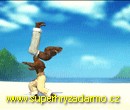 	Capoeira fighter	