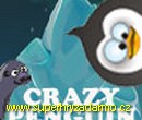 Crazy Penguin