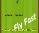  Fly Fast