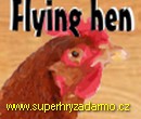  Flying Hen