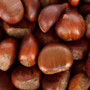 Jigsaw Chestnuts