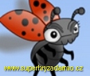 Lady Bug!