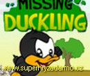 Missing Duckling