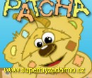  Patcha