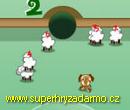 Sheep Pool