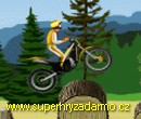 Stunt Dirt Bike