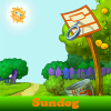  Sundog. Spot the Difference 